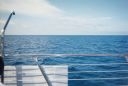 thumb_R1-01880-012A