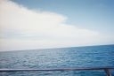 thumb_R1-01882-018A