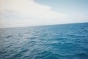 thumb_R1-01882-019A