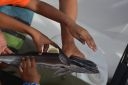 thumb_UNADJUSTEDNONRAW_thumb_1d09