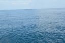 thumb_UNADJUSTEDNONRAW_thumb_1d1a