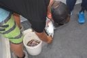 thumb_UNADJUSTEDNONRAW_thumb_1d31