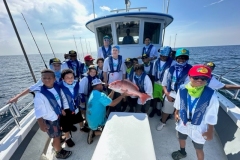 Group-Snapper