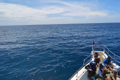 493214356_122182910732360747_1773770826552161846_n