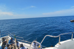 496160768_122182910774360747_5548462214398458712_n