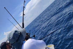 500671786_122182909952360747_929574221913333787_n