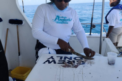 503797033_122182909376360747_3525953230037683017_n