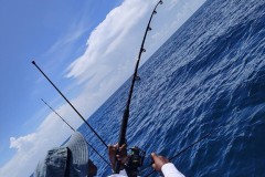 505011474_122182909808360747_6379047202161749629_n