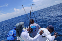 505083299_122182910036360747_5926594424089987438_n