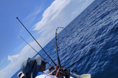 505892356_122182909994360747_8657039776071606382_n