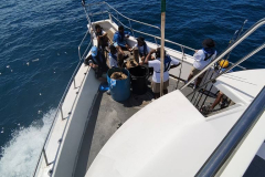 506055984_122182910648360747_332049250584072288_n